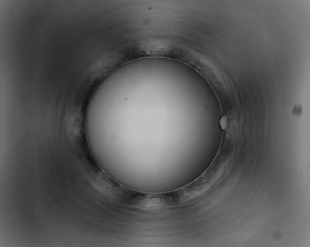 X0000103260604200809051445