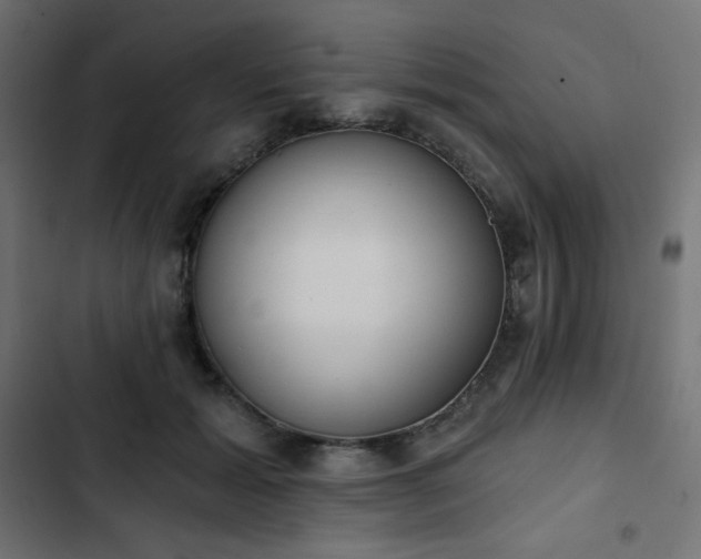 X0000103260605200809051445