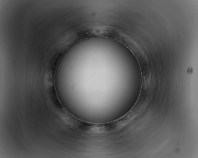 X0000103260606200809051445