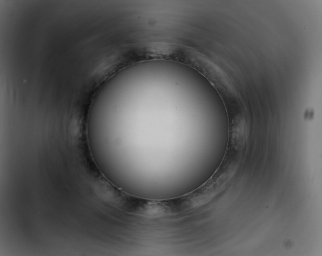 X0000103260608200809051445