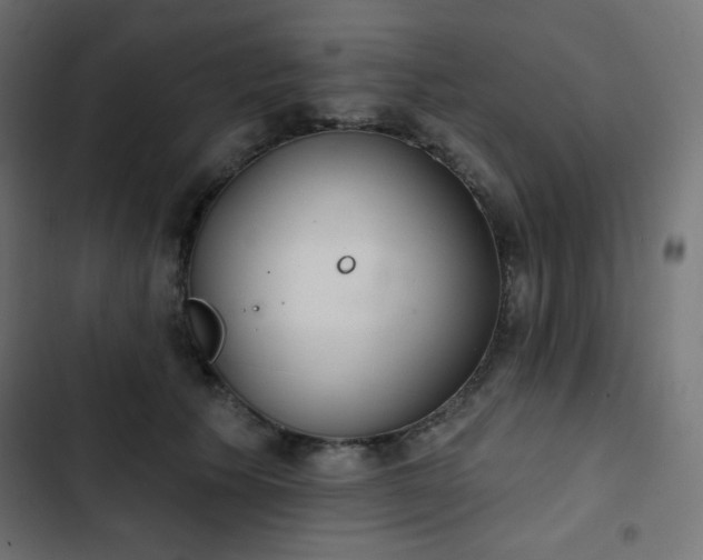 X0000103260609200809051445