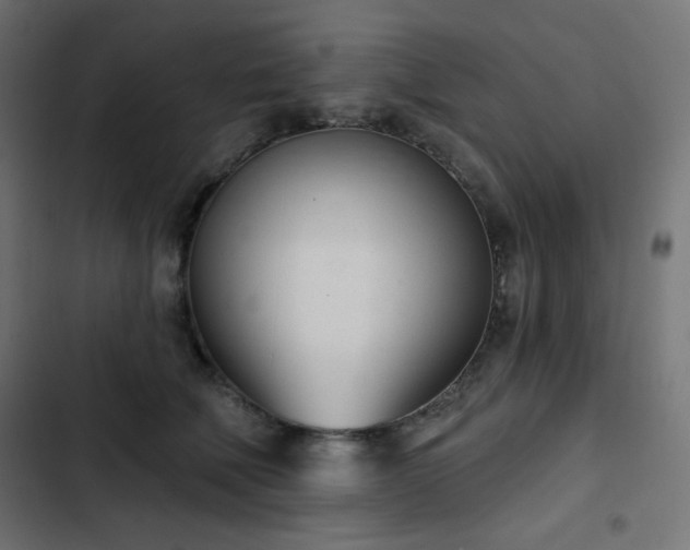 X0000103260610200809051445