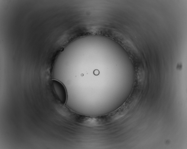 X0000103260611200809051445