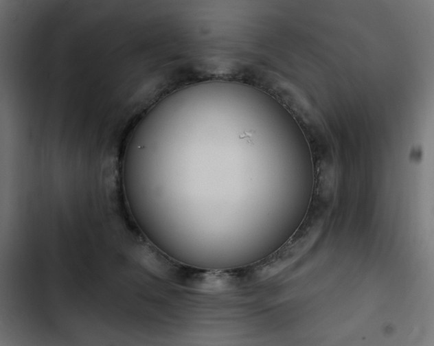 X0000103260612200809051445