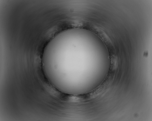 X0000103260614200809051445