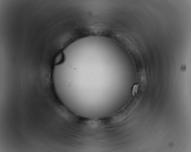 X0000103260615200809051445