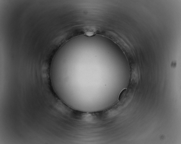 X0000103260616200809051445