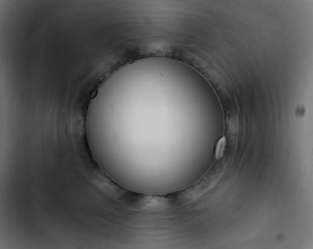 X0000103260617200809051445