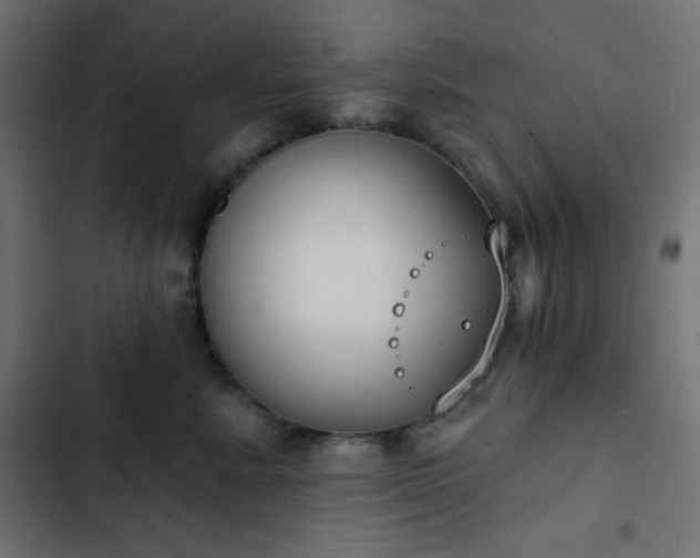 X0000103260619200809051445