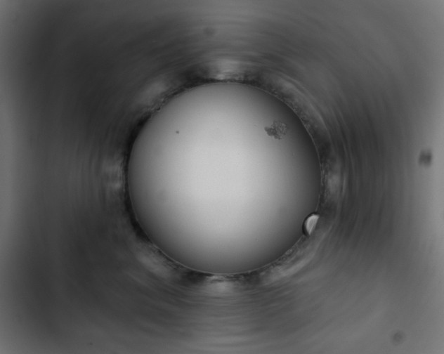 X0000103260620200809051445