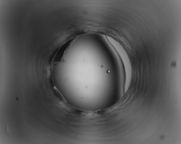 X0000103260621200809051445