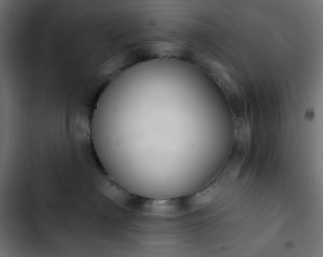 X0000103260622200809051445