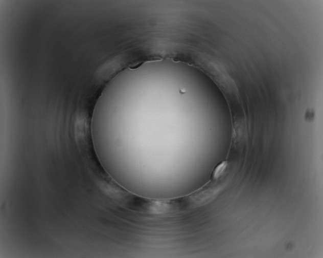 X0000103260623200809051445