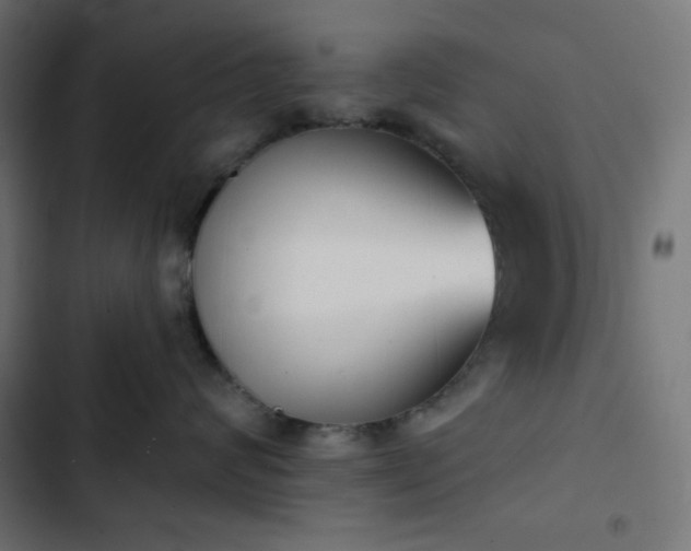 X0000103260624200809051445