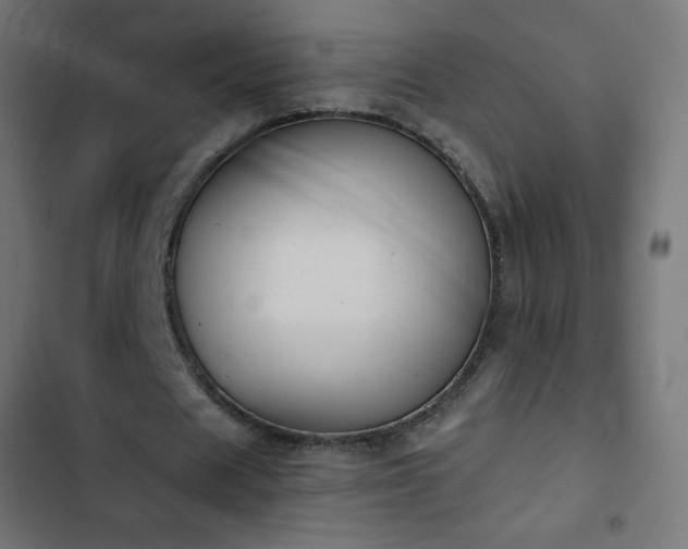 X0000103260625200809051444