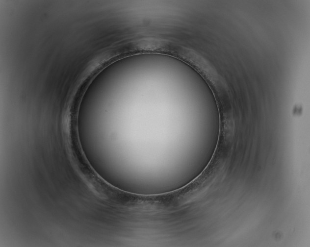 X0000103260626200809051444