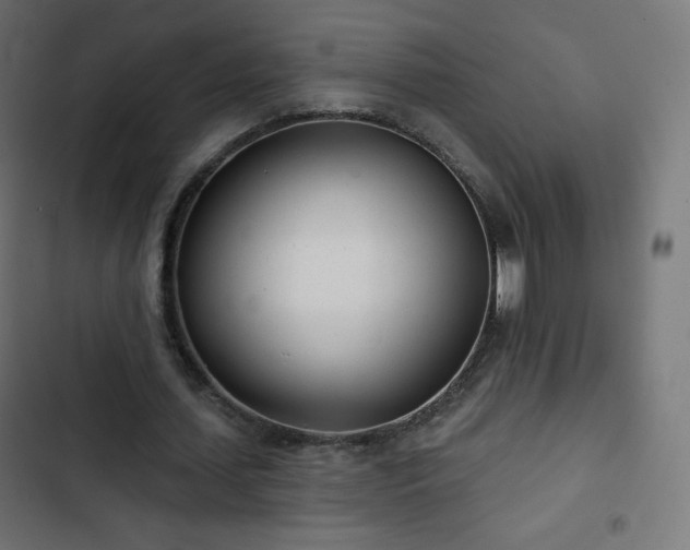 X0000103260627200809051444