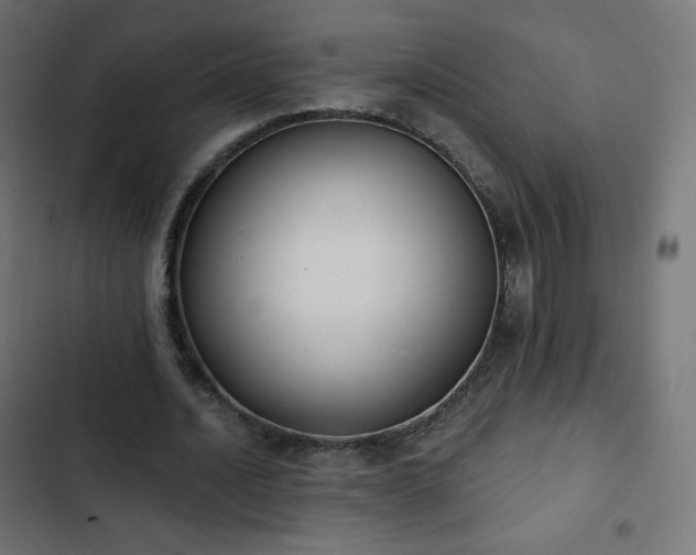 X0000103260628200809051444