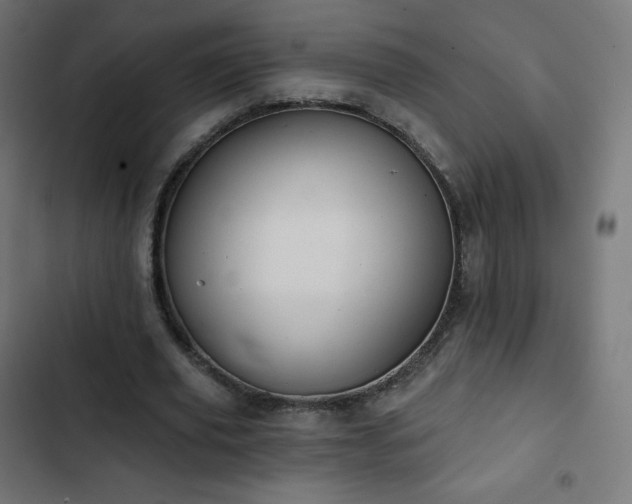 X0000103260629200809051444