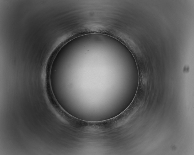 X0000103260630200809051444