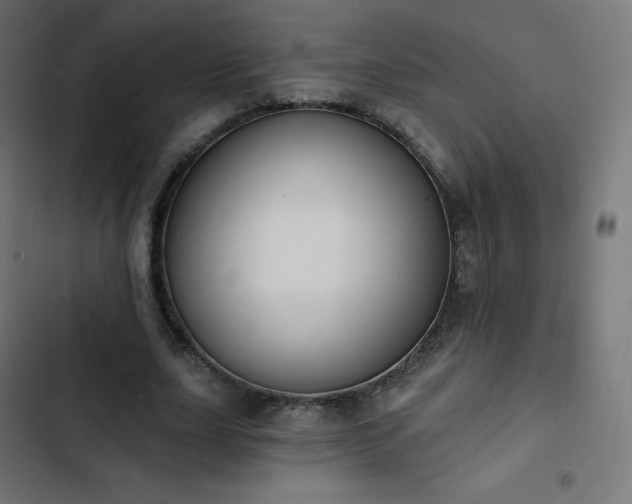 X0000103260631200809051444