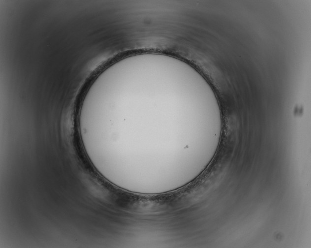 X0000103260632200809051444