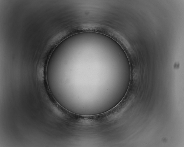 X0000103260633200809051444