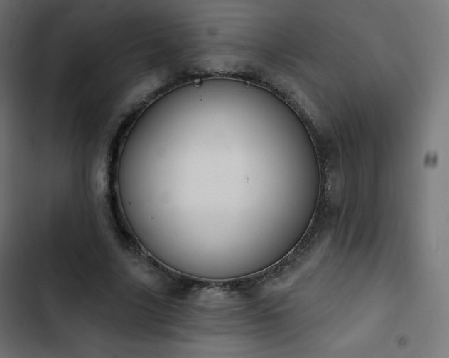 X0000103260635200809051444