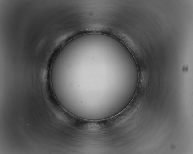 X0000103260636200809051444