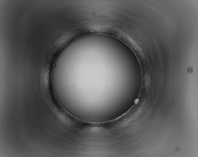 X0000103260637200809051444