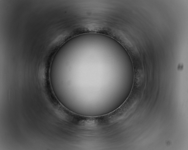 X0000103260639200809051444