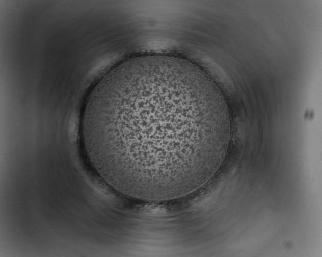 X0000103260640200809051444