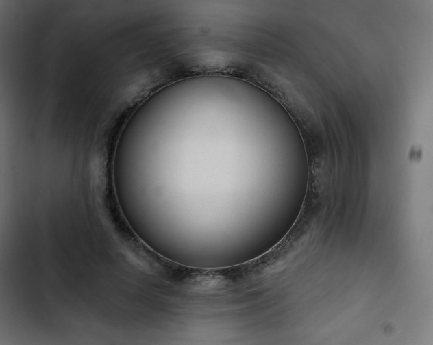 X0000103260642200809051444