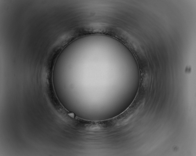 X0000103260643200809051444