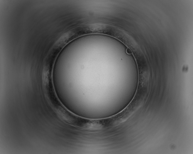 X0000103260644200809051444