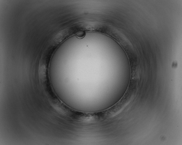 X0000103260646200809051444