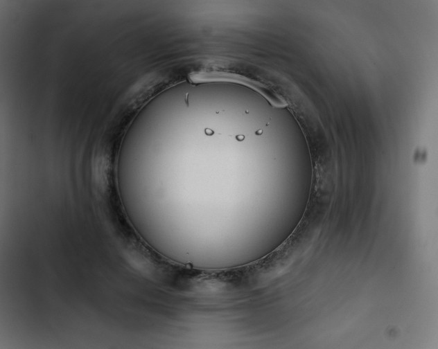 X0000103260648200809051444