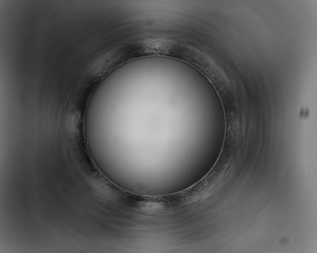 X0000103260649200809051445