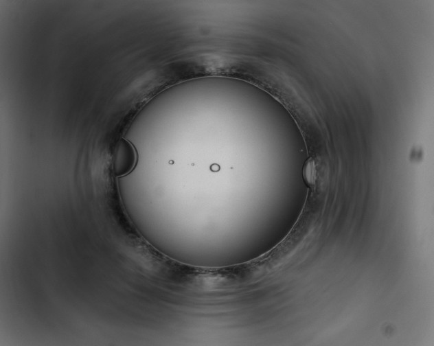 X0000103260650200809051445