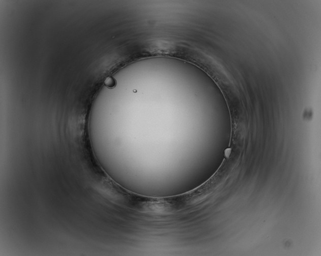 X0000103260652200809051445