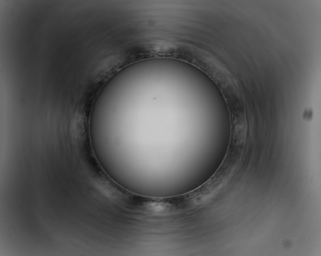 X0000103260654200809051445