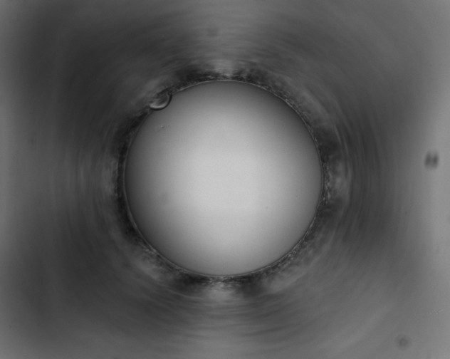 X0000103260656200809051445