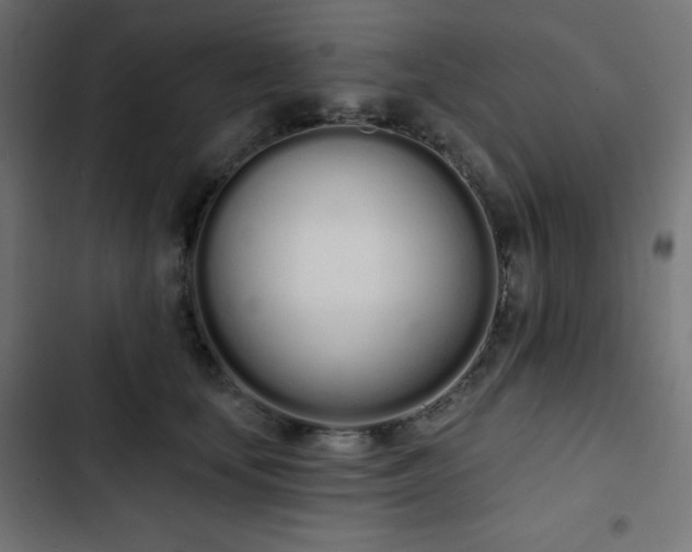 X0000103260659200809051445