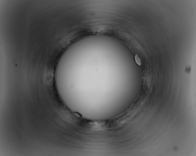 X0000103260660200809051445