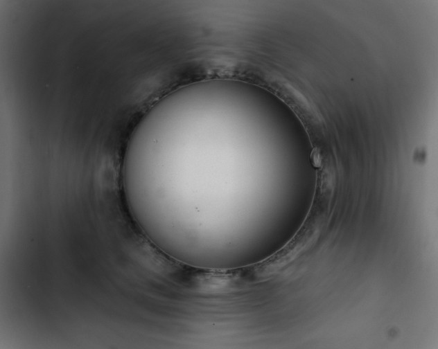 X0000103260661200809051445