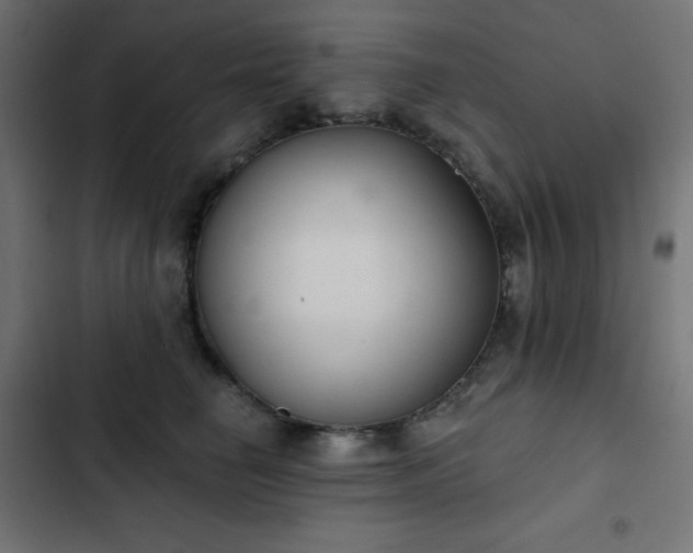 X0000103260662200809051445