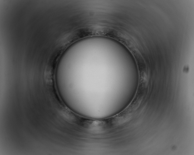 X0000103260663200809051445