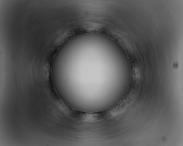 X0000103260664200809051445