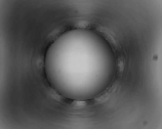 X0000103260665200809051445