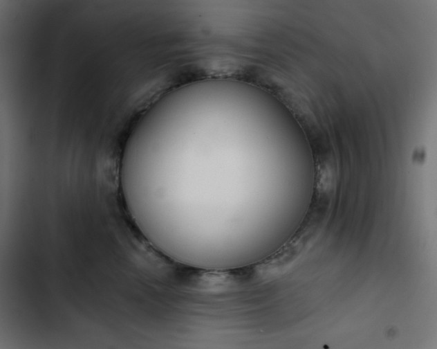 X0000103260666200809051445